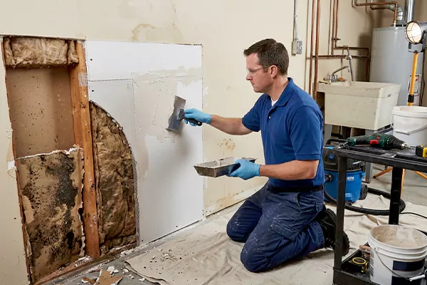 Mold and Drywall Repair Renton