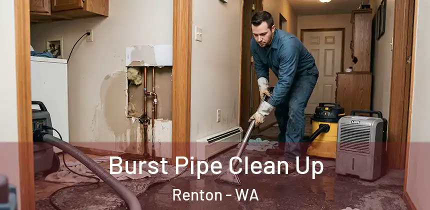 Burst Pipe Clean Up Renton - WA