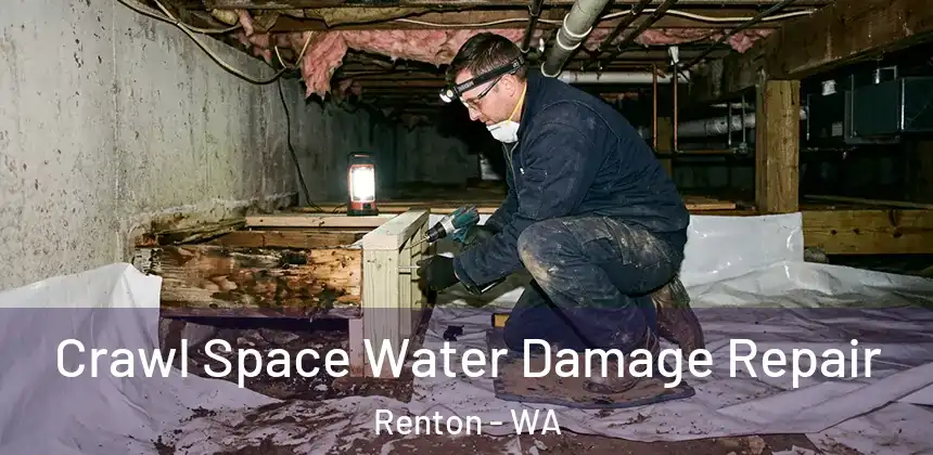  Crawl Space Water Damage Repair Renton - WA