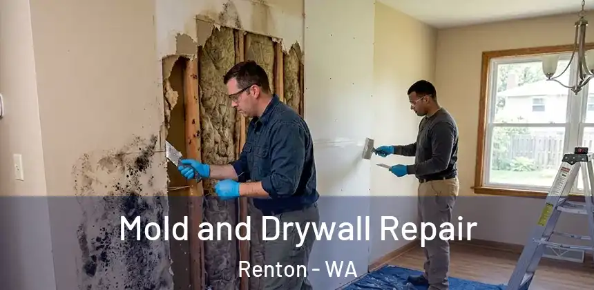  Mold and Drywall Repair Renton - WA