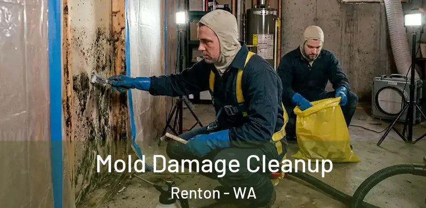 Mold Damage Cleanup Renton - WA