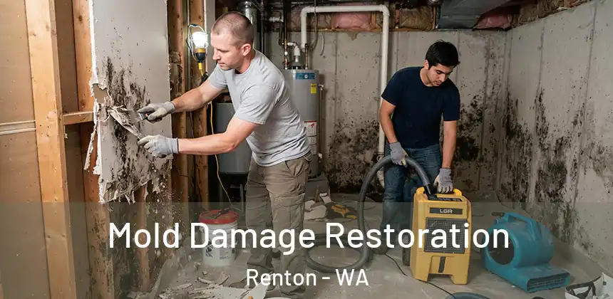 Mold Damage Restoration Renton - WA