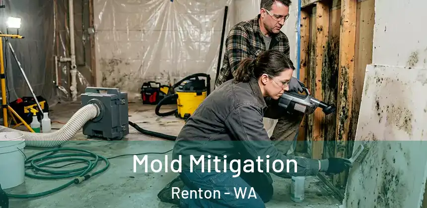  Mold Mitigation Renton - WA