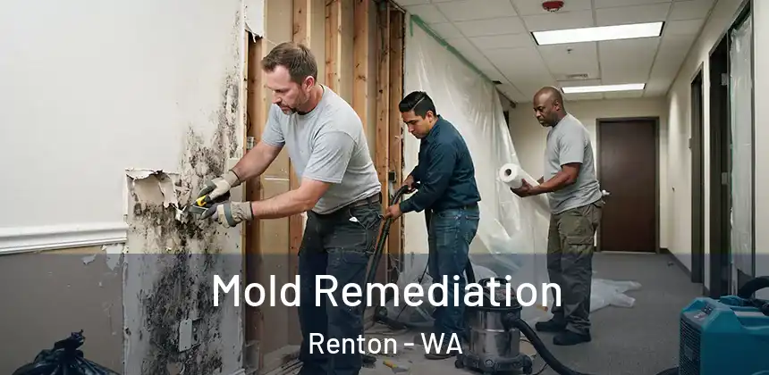 Mold Remediation Renton - WA