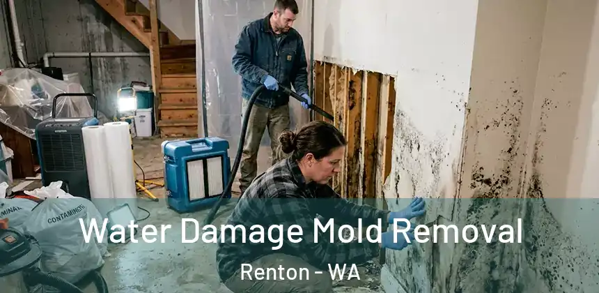  Water Damage Mold Removal Renton - WA