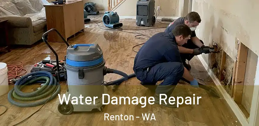  Water Damage Repair Renton - WA