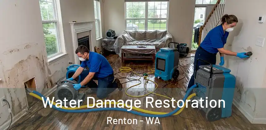  Water Damage Restoration Renton - WA