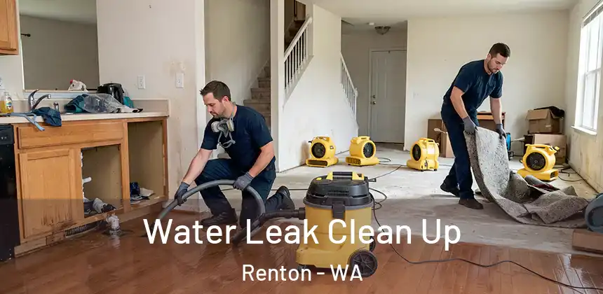  Water Leak Clean Up Renton - WA