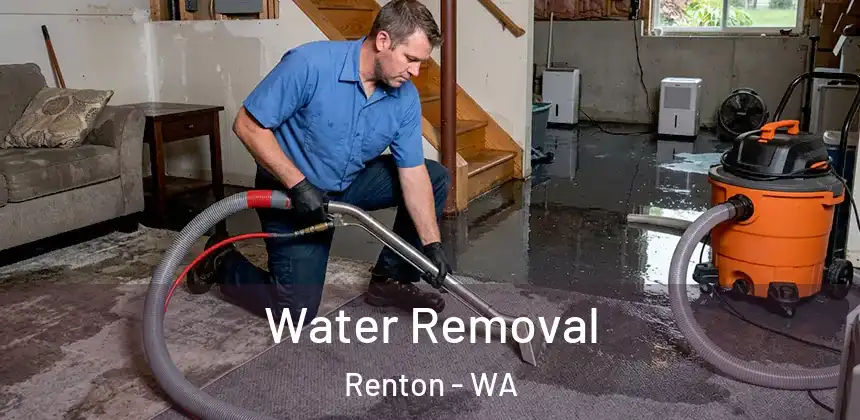 Water Removal Renton - WA