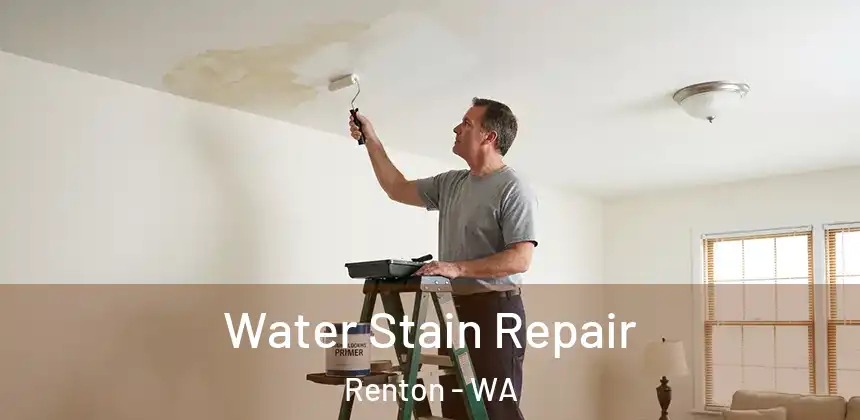  Water Stain Repair Renton - WA